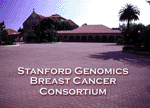 Stanford breast portal